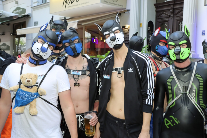 The Rise of the Puppies